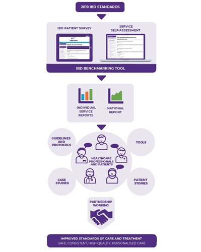 IBD Standards infographic