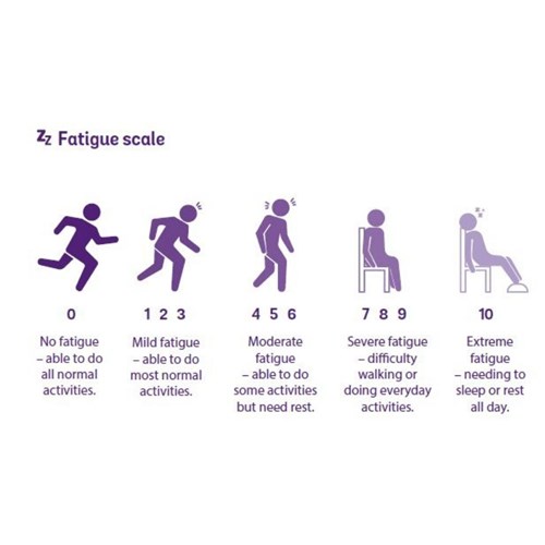 Fatigue scale