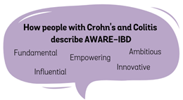 Describing Aware-IBD