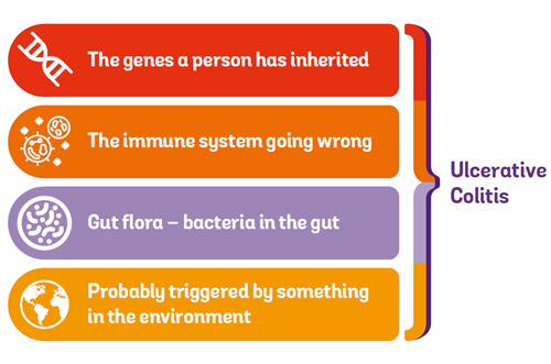 diagram showing how genes, immune system, gut flora and environment could all be causes for developing Crohn's